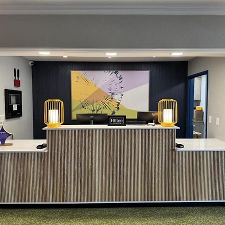 Spark By Hilton Killeen Luaran gambar